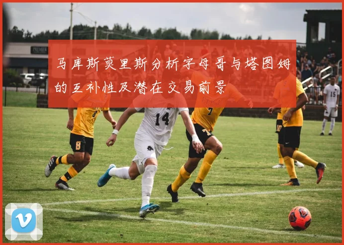马库斯莫里斯分析字母哥与塔图姆的互补性及潜在交易前景